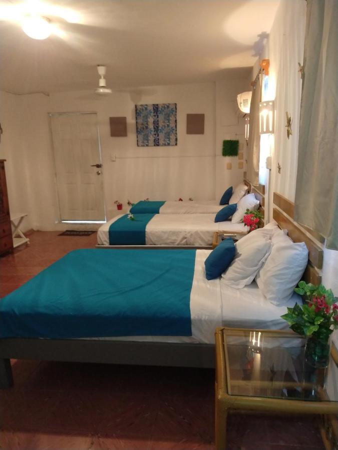 Apartment Casa San Miguel 1